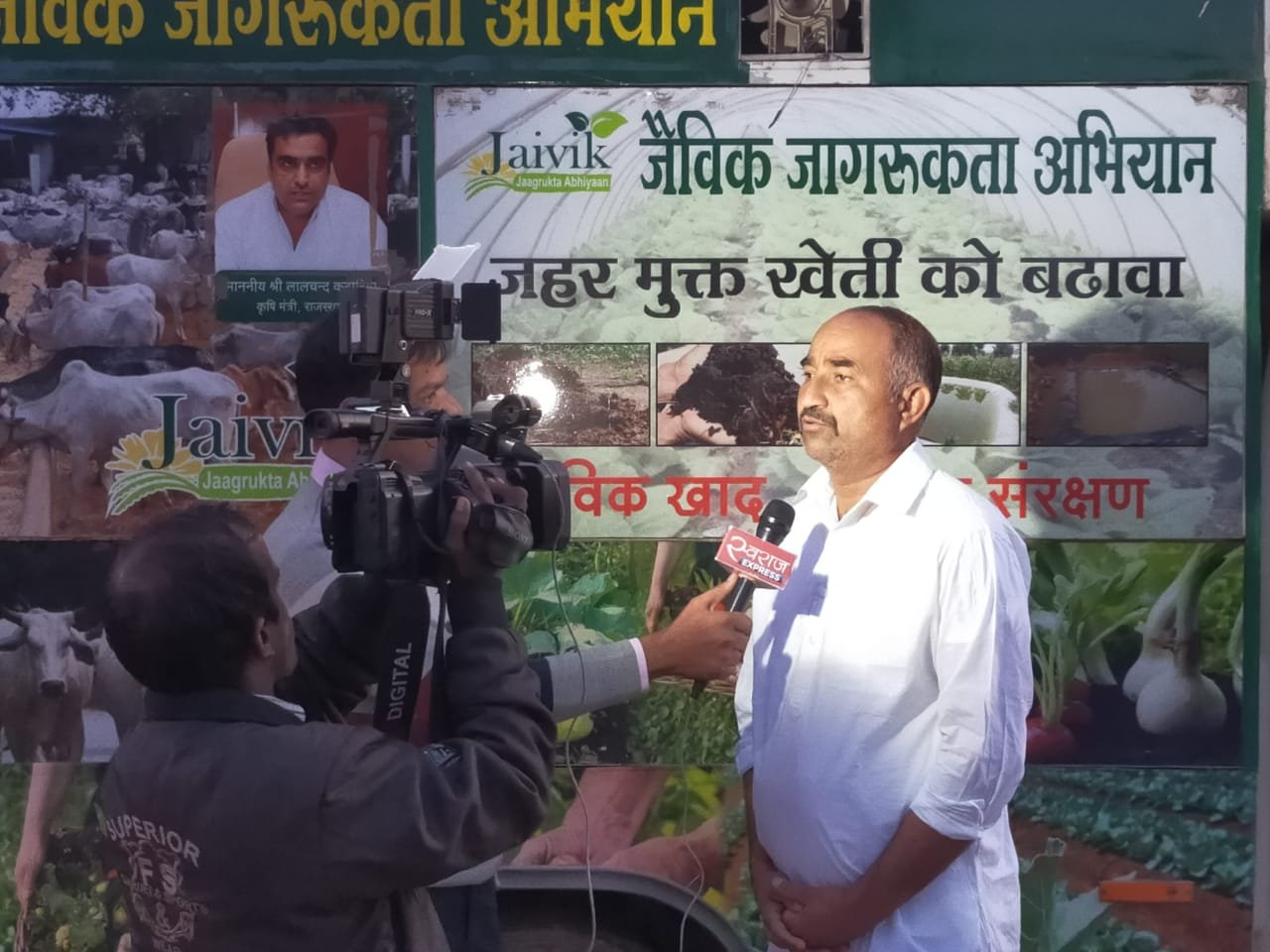 Organic vegetable farming