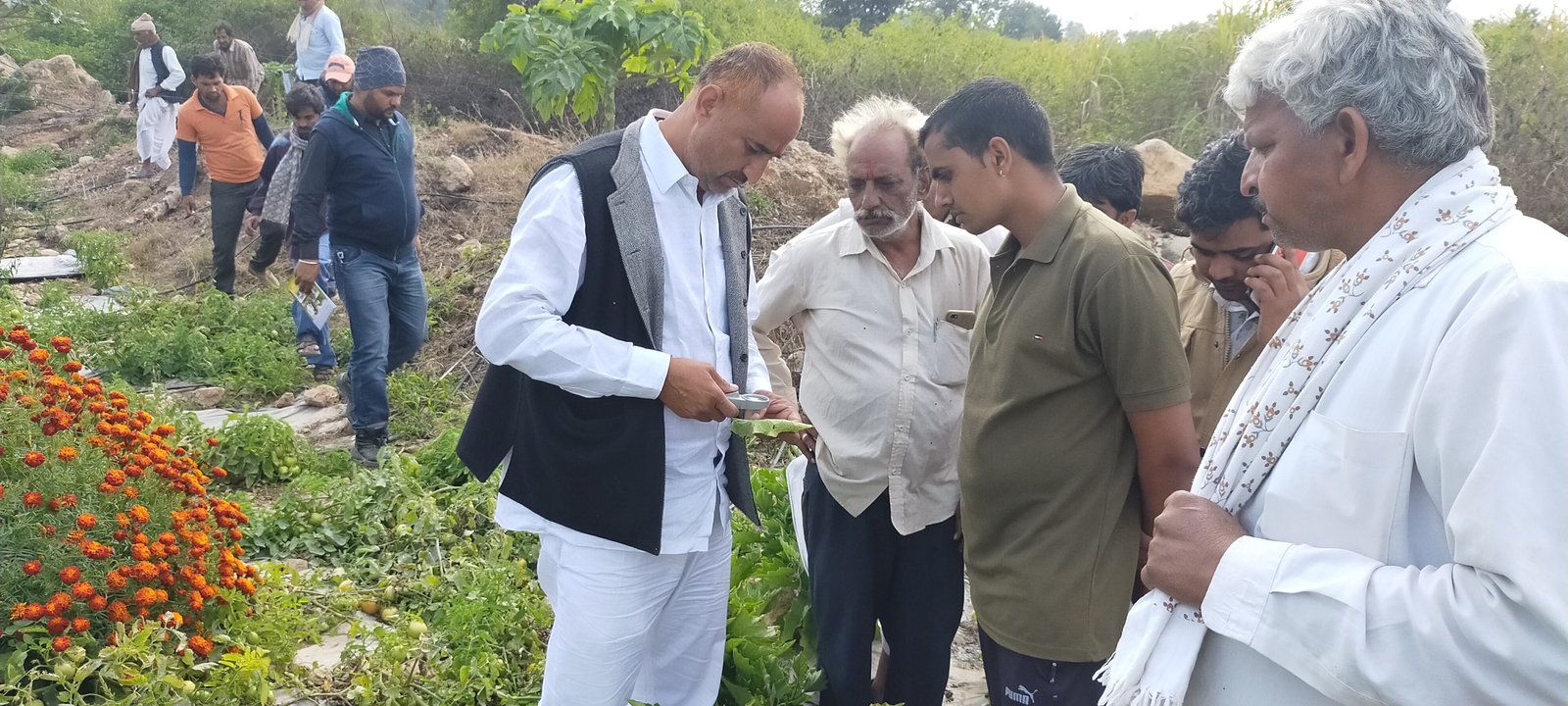 Compost preparation