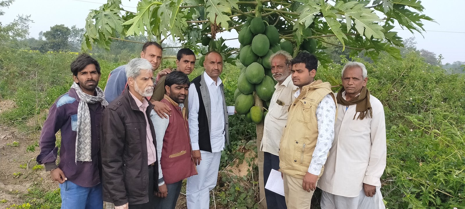 Organic farming workshop