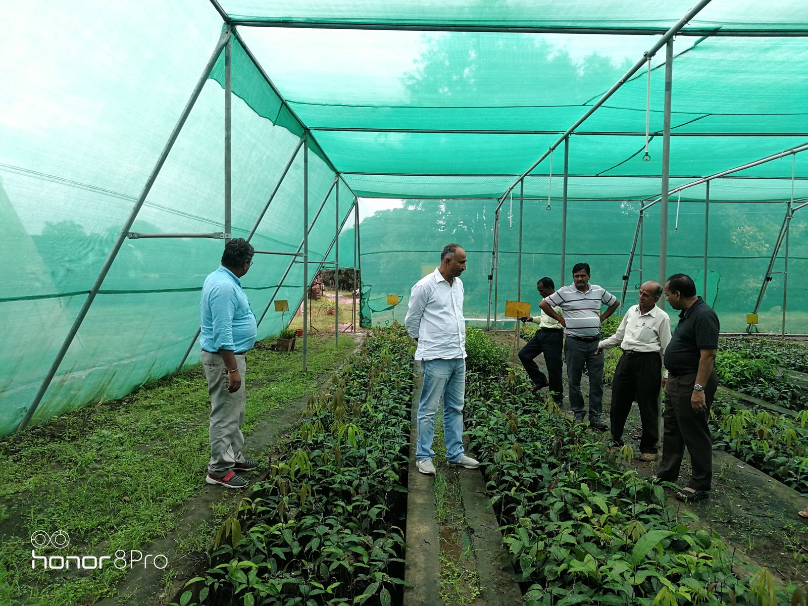 Organic farming demonstration